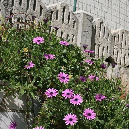 Apartments Paradiso بولا المظهر الخارجي الصورة