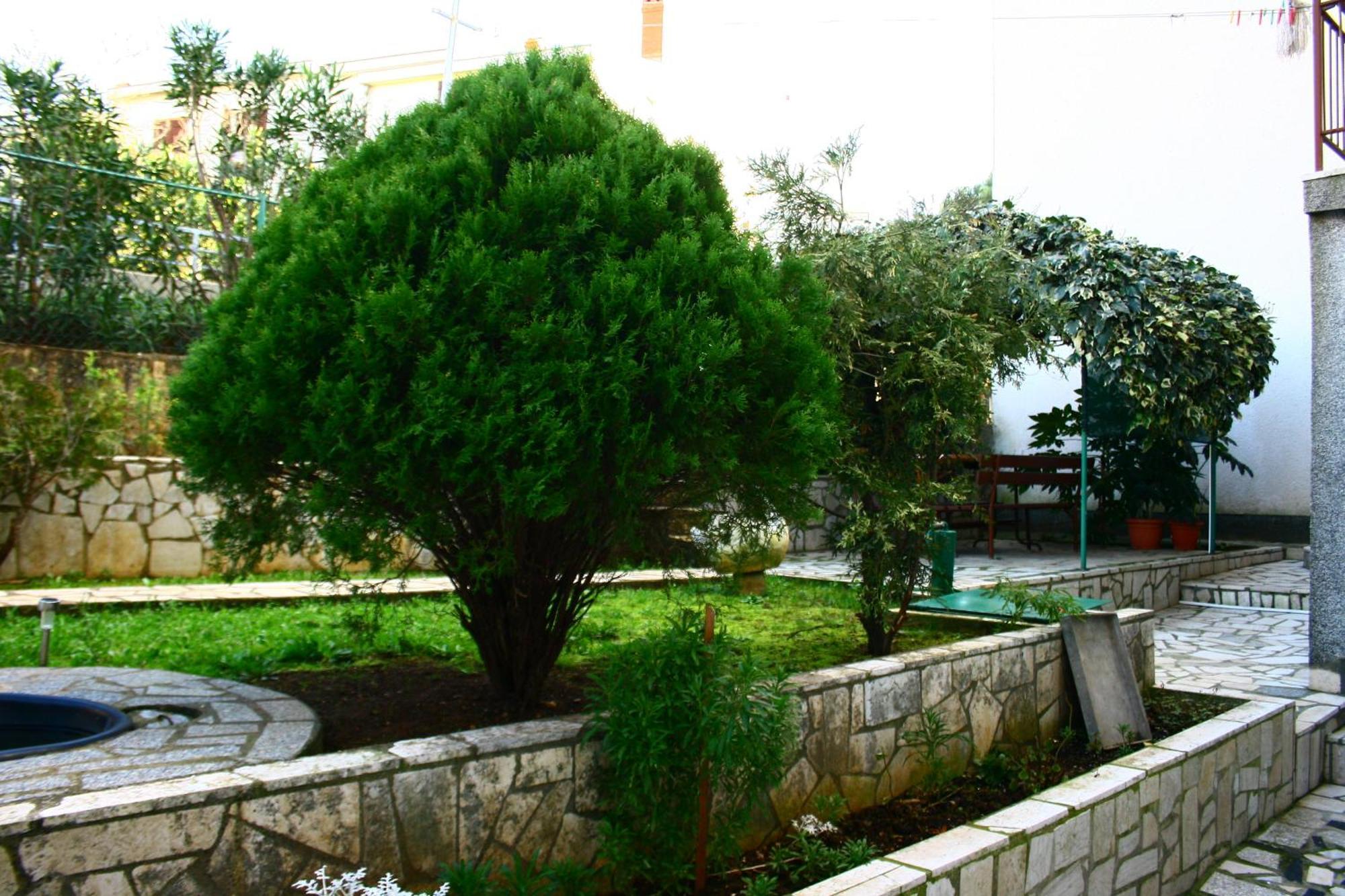 Apartments Paradiso بولا المظهر الخارجي الصورة